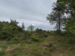 Holiday Home Devis - from the sea by Interhome - Hadsund - 8