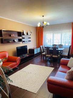 Vila Madisa - Buşteni - 7