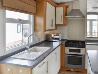 Uk47339 - Evergreen - 4