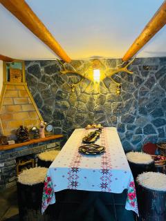 Vila Madisa - Buşteni - 1