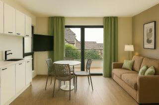 Les Appartements Husseren Collections - Proche Colmar - Eguisheim - 8