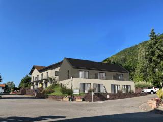 Les Appartements Husseren Collections - Proche Colmar - Eguisheim - 5