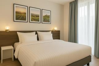 Les Appartements Husseren Collections - Proche Colmar - Eguisheim - 3