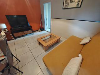 T2 COMPLET BLOIS Centre 38 M2-Parking et linge inclus - 1