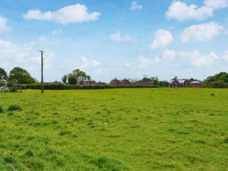 Ivy - Uk47373 - 7