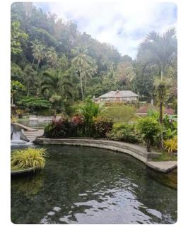 Kathy's Place at Cold Spring - Catarman - 6