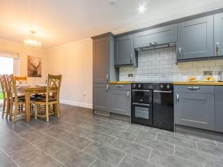 Fiadh Ruadh-Uk40008 - Gartmore - 4