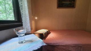 Cozy cottage with its own beach plot and rowing boat - - 6