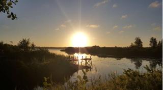 Cozy cottage with its own beach plot and rowing boat - - 3