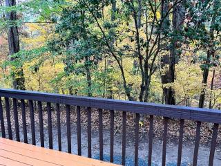 Private 40 Acre Tranquility in the City - 2