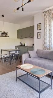 Tilia Home - Vrnjačka Banja - 0