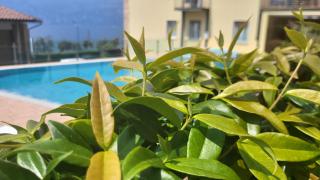 Residence Rosemary - 1