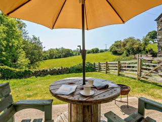 1 Bed in Abergele 88976 - Llanfair Talhaiarn - 5