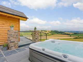 3 Bed in Montgomery 88641 - Llandyssil - 8