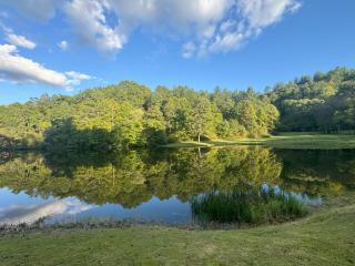 Mallard Cove - lakeside pet friendly - 9