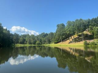 Mallard Cove - lakeside pet friendly - 8