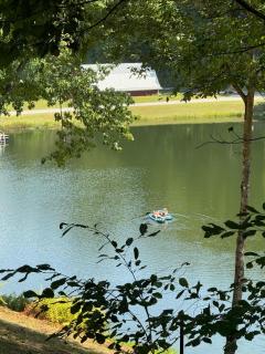 Mallard Cove - lakeside pet friendly - 6
