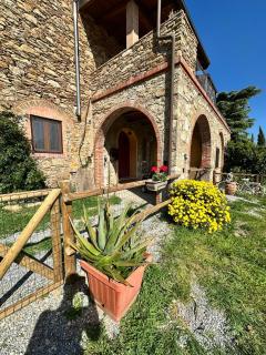 Podere Baloo Suvereto - 5