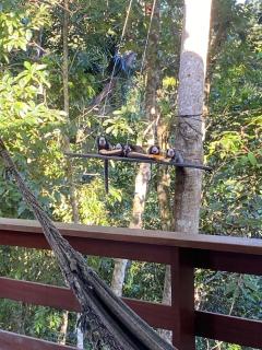 Chalé Domingos Martins - 5