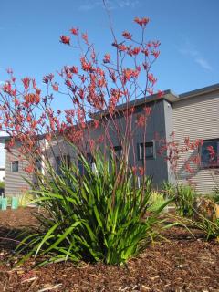 Hartzell One Seven - Wilyabrup - 6