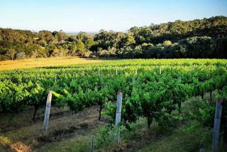 Hartzell One Seven - 4