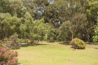 Trastevere Farmhouse-Working Cattle Farm-Family Escape - 2