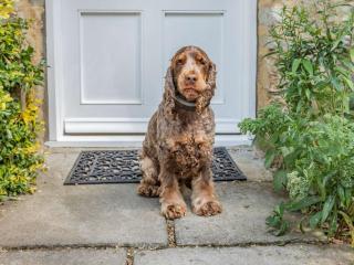 2 Bed in Isle Brewers 88884 - 7