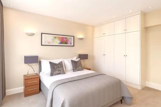 Mayfair Green Park Central Penthouse - London - 8
