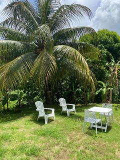Maison charmante à Baie-Mahault avec jardin clôturé - 8