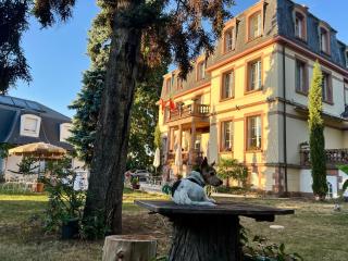 Hôtel Le Manoir - Barr - 9