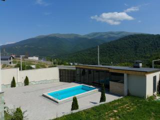 Dilijan Aqualin Villa - Heated pool, sauna and panoramic views - 1