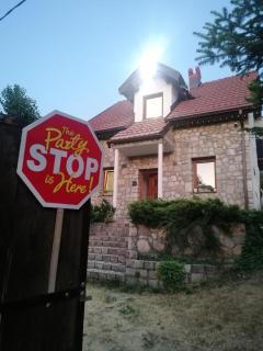 Pelister Riverside Villa - Bitola - 9