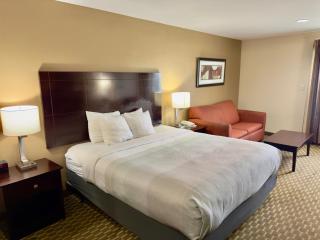Quality Inn & Suites Pine Bluff - Pine Bluff - 9