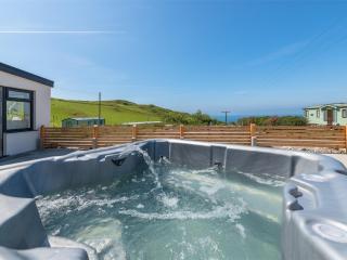 2 Bed in Aberdovey DY049 - Aberdyfi - 9