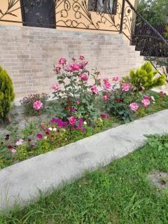 Кюнгют Гостевой дом - Sheki - 3