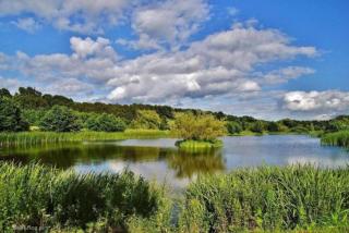 Apartament Słoneczny dla 6 osób - 1