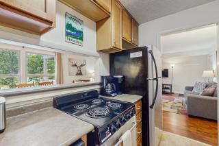 Bee Branch 14 - Sugar Mountain - 3