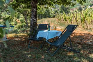 Villa Seara - Casas da Vinha - 7