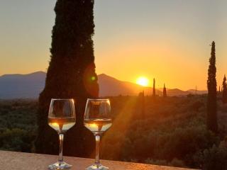 Yiannis & Ria's Farm - Kalamata - 6
