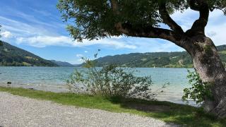 Ferienwohnung Alpenfreude - 9