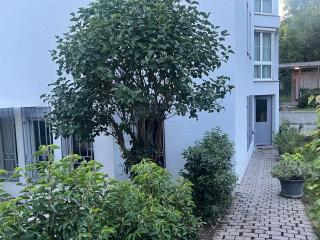 Romantic Space - Nussbaumen - 9