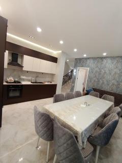 Qabala Villa Modern - Qəbələ - 3