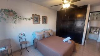 Walk 2 blocks to the beach and downtown! - Cabo San Lucas - 2