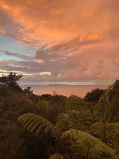 Paradise on the Hill - - 3