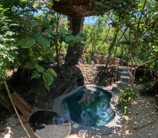 Bosque Geométrico - 1