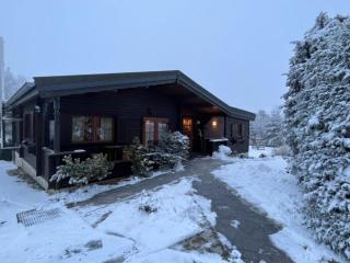 Holzhaus Junge in the Harz - Schielo - 1
