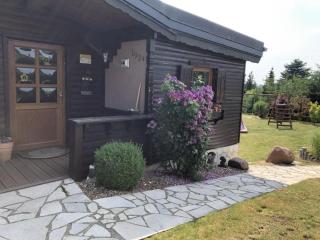 Holzhaus Junge in the Harz - 5