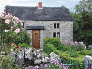 Ivy Cottage - 0