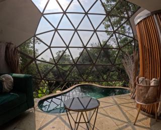 Bosque Geométrico - 8