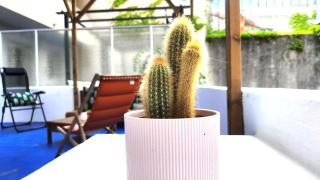 T2 La Terrasse de Vauban - 5